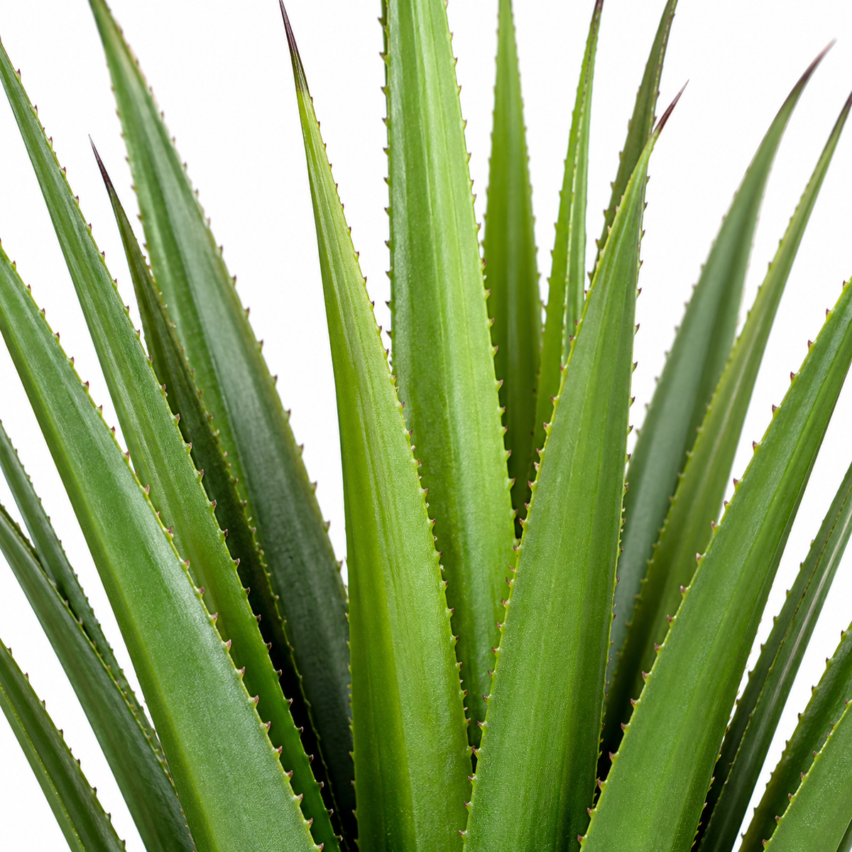 Artificial agave-style plant 56 - detail