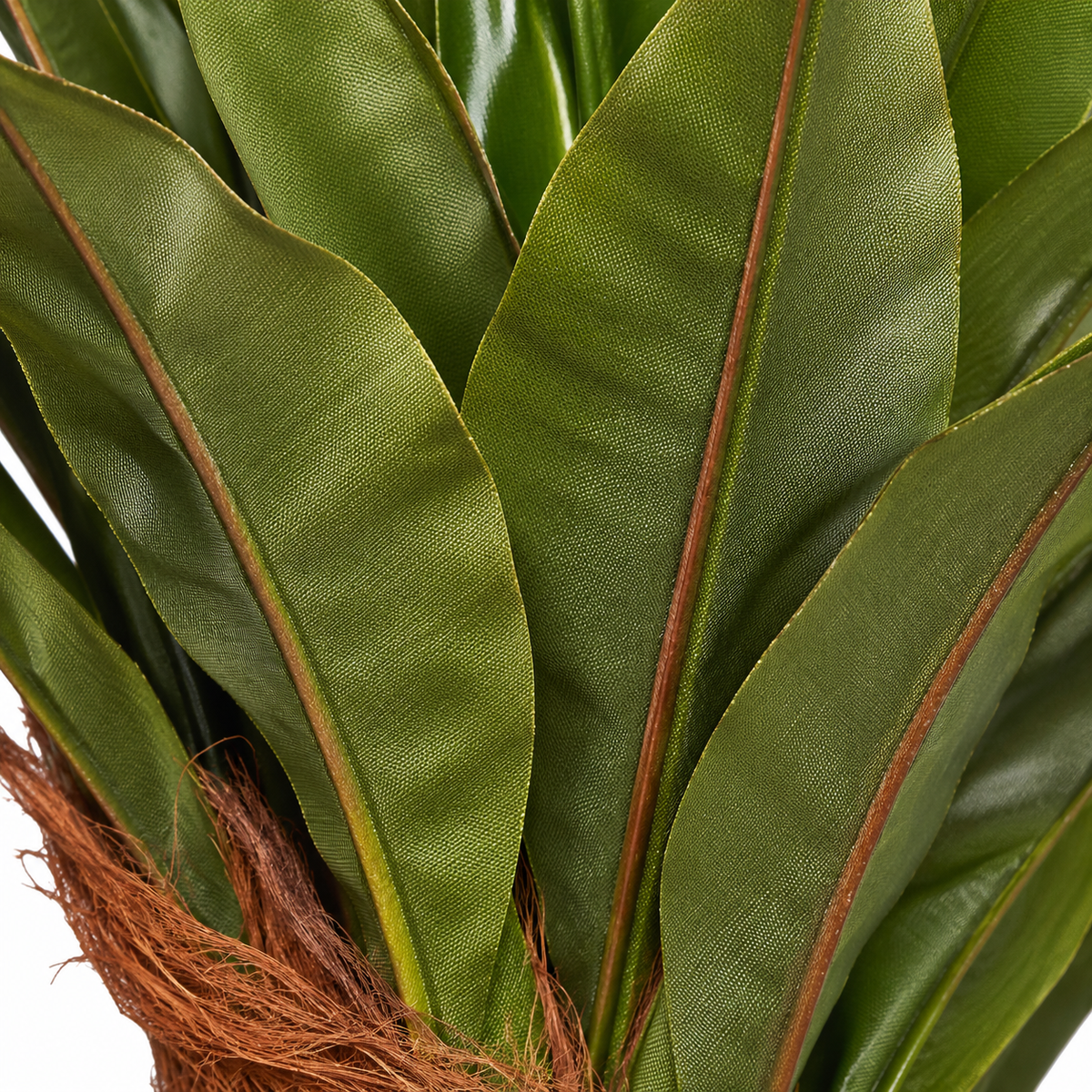 AFF Plant 97 artificial green broad leaf plant - close-up