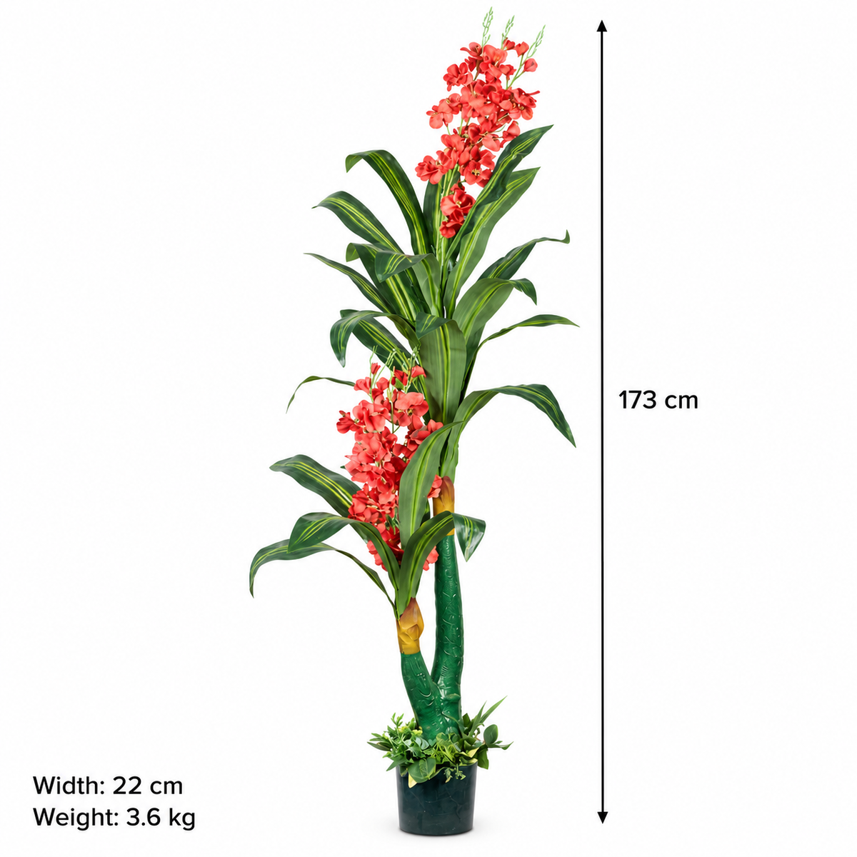 AFF-06 height 173 cm width 22 cm weight 3.6 kg