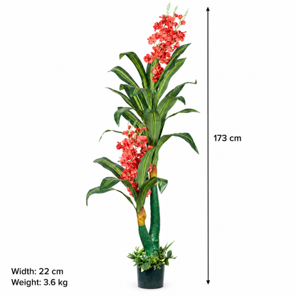 AFF-06 height 173 cm width 22 cm weight 3.6 kg