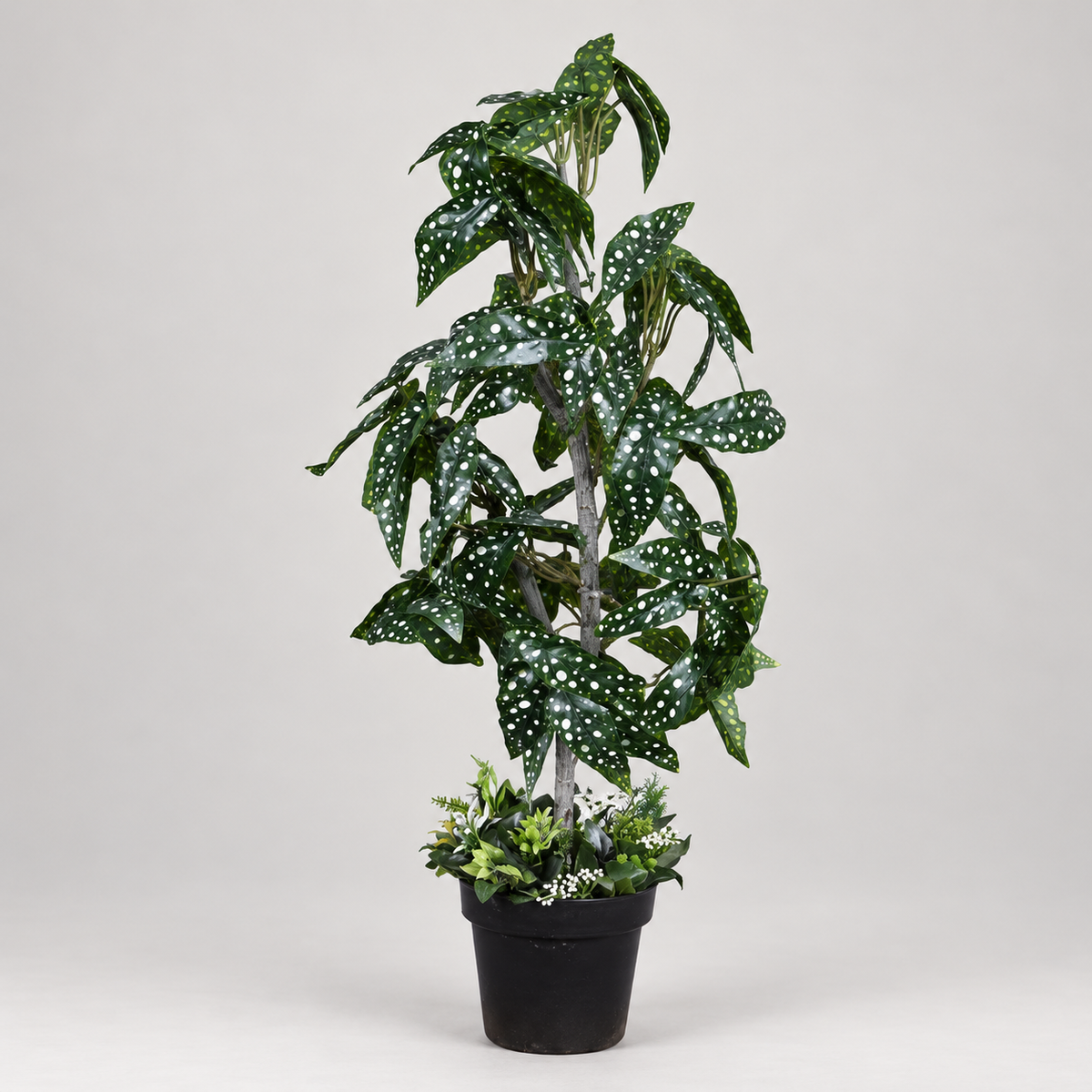 Artificial polka dot spotted Begonia plant - side-view