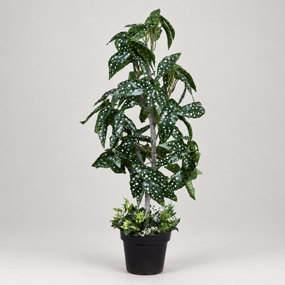 Artificial polka dot spotted Begonia plant - side-view