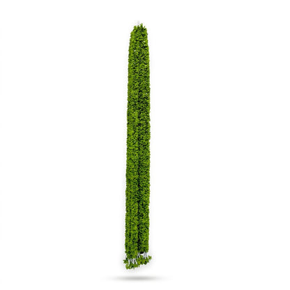 Long Green Leafy Hanging Garland – Slim Artificial Foliage Latkan for Door, Window, Balcony & Backdrop Décor (160 cm) – Pack of 10
