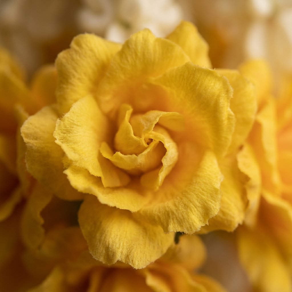 Artificial Flower Ladi mogra yellow | AFF-Garland-16.5