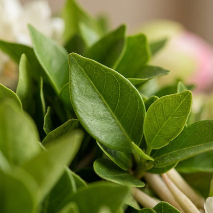 Artificial Mogra Ladi with Small Green Lotus | AFF-Garland-19
