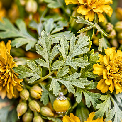 Artificial Flower Ladi mogra yellow | AFF-Garland-16.5