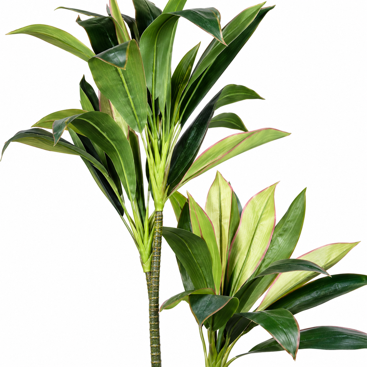 Artificial Dracaena Palm Potted Tree - detail