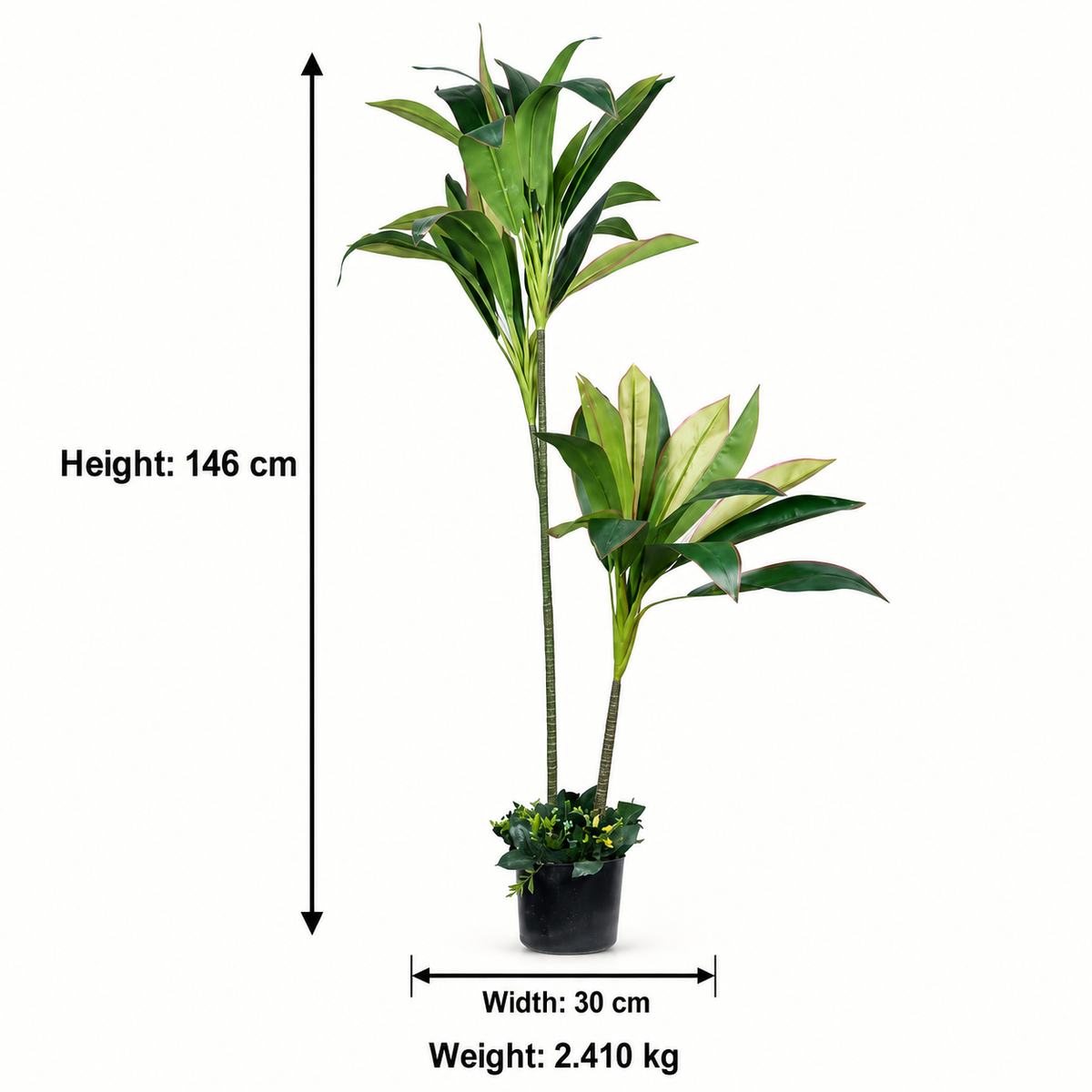 Artificial Dracaena Palm Potted Tree - dimensions