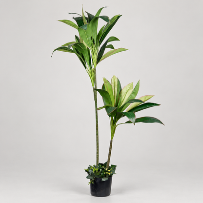 Artificial Dracaena Palm Potted Tree - side
