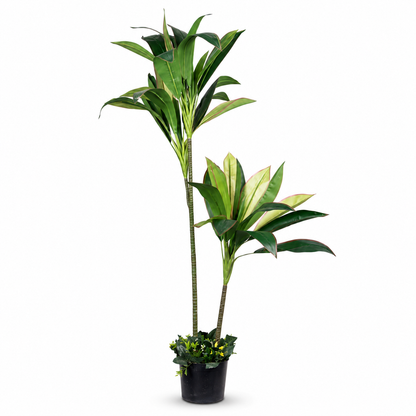 Artificial Dracaena Palm Potted Tree - white