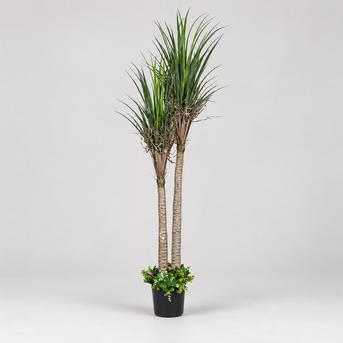 Artificial dual-stem Dracaena potted tree - side-view