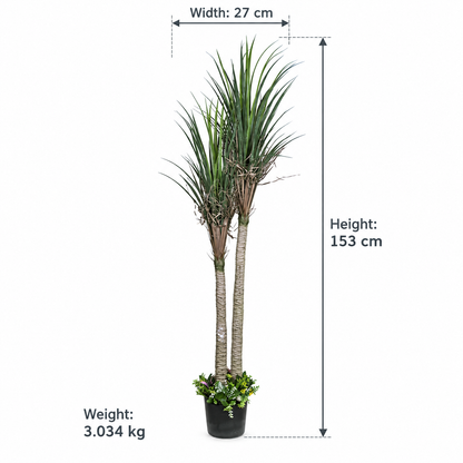 Artificial dual-stem Dracaena potted tree - size-weight