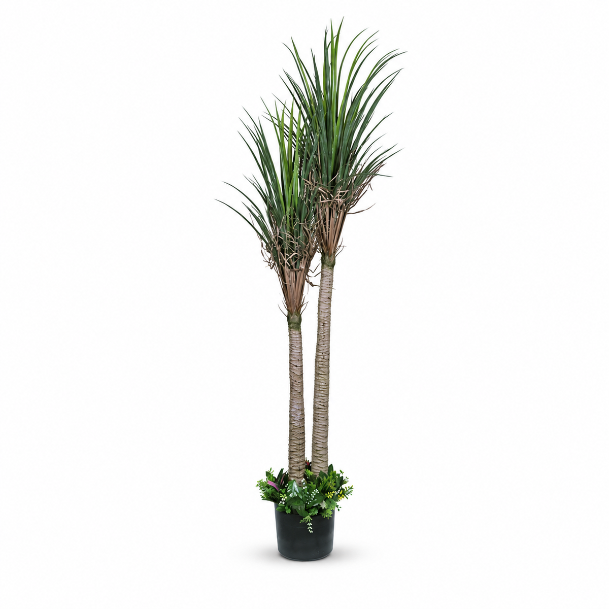 Artificial dual-stem Dracaena potted tree - white-background