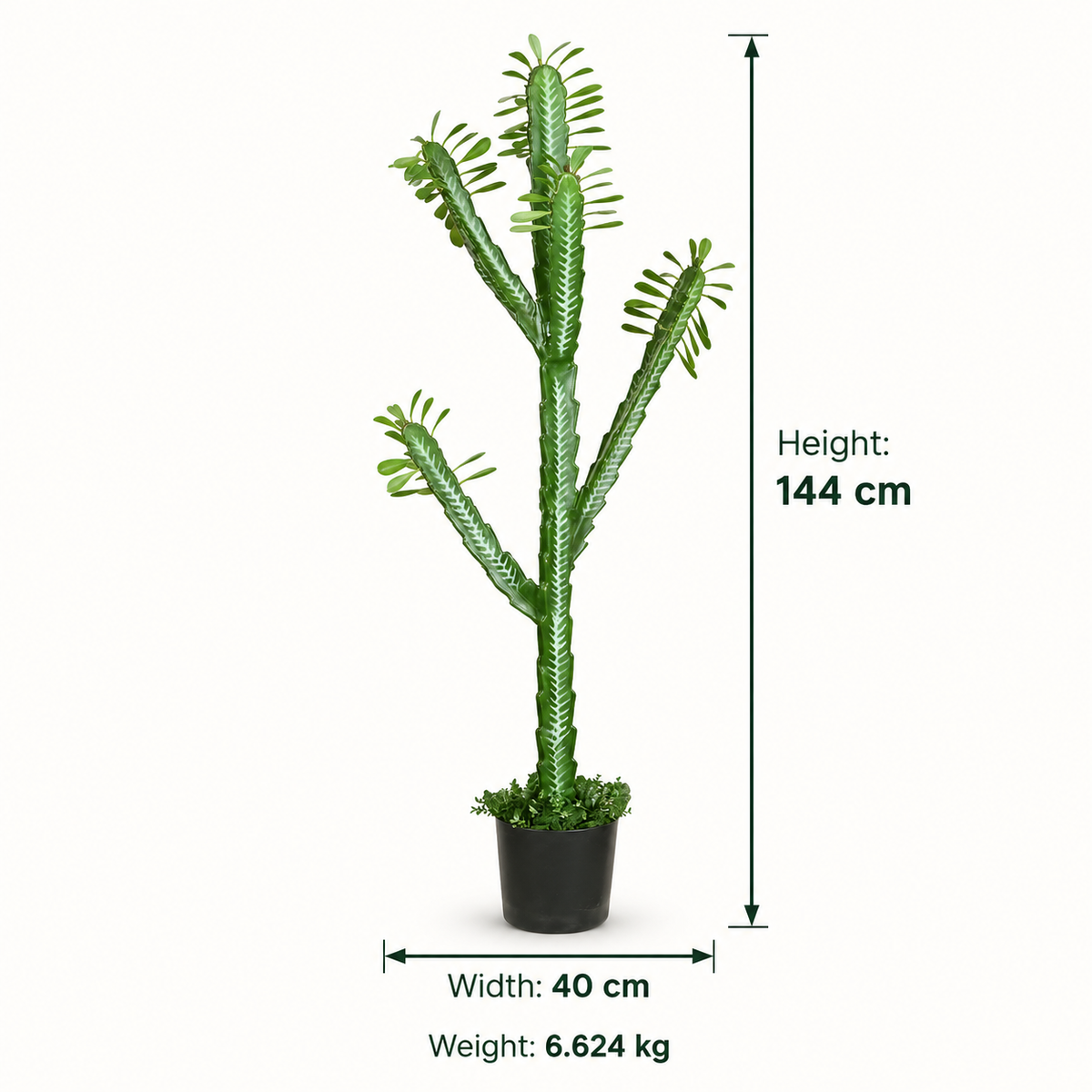 Artificial Euphorbia Trigona Potted Cactus - dimensions