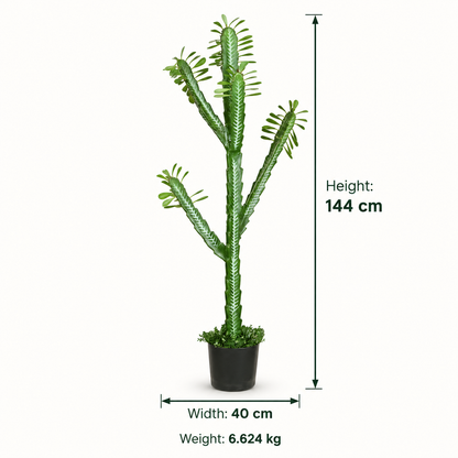 Artificial Euphorbia Trigona Potted Cactus - dimensions