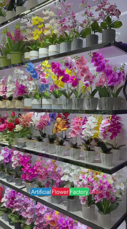 Artificial Succulent Pincushion Protea Tabletop Pot