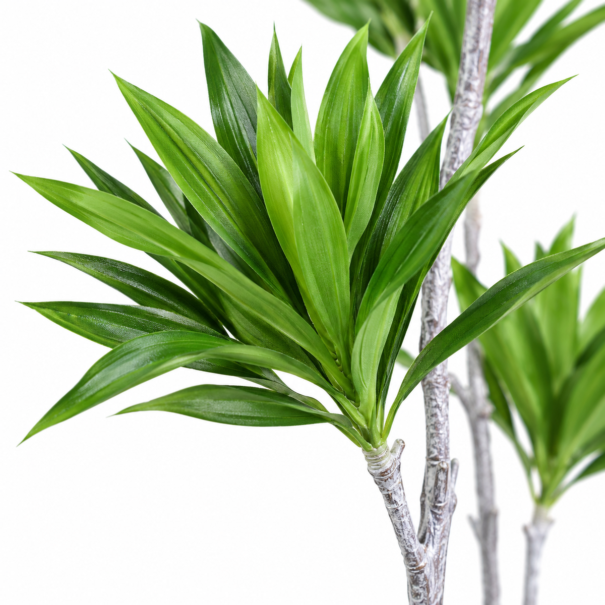 Artificial Multi-Stem Staggered Dracaena Tree - close-up