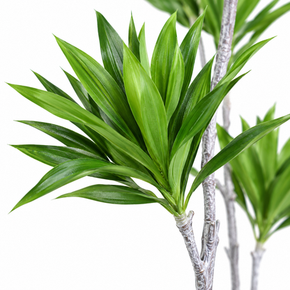 Artificial Multi-Stem Staggered Dracaena Tree - close-up