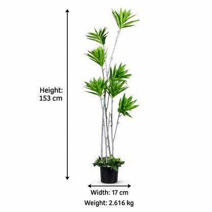 Artificial Multi-Stem Staggered Dracaena Tree - dimensions