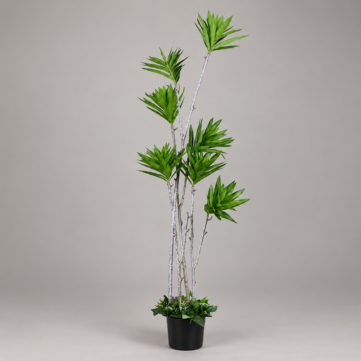 Artificial Multi-Stem Staggered Dracaena Tree - side-view