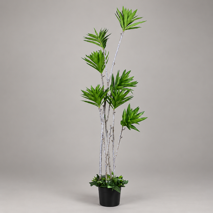 Artificial Multi-Stem Staggered Dracaena Tree - side-view