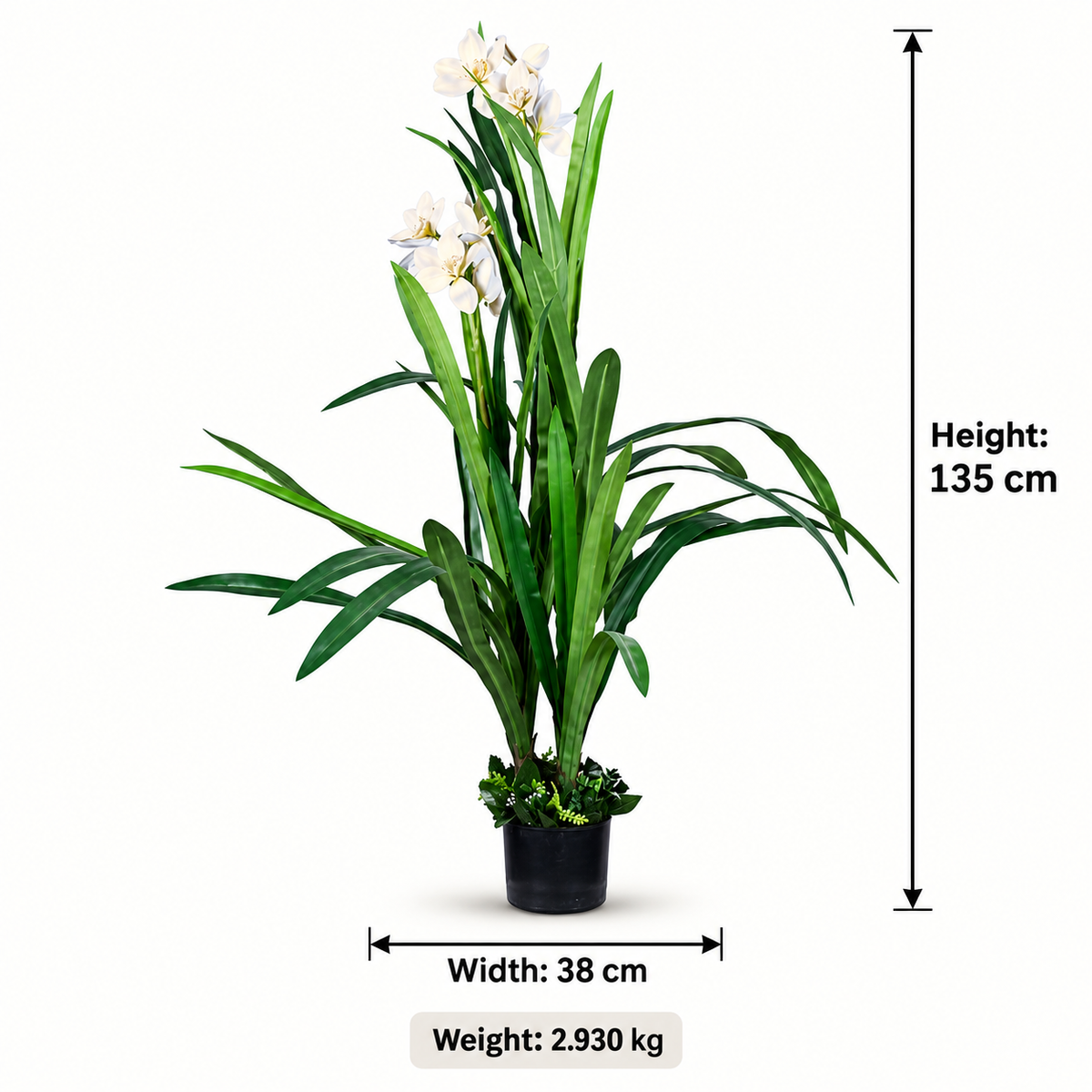 Artificial White Orchid Flowering Potted Plant - dimensions
