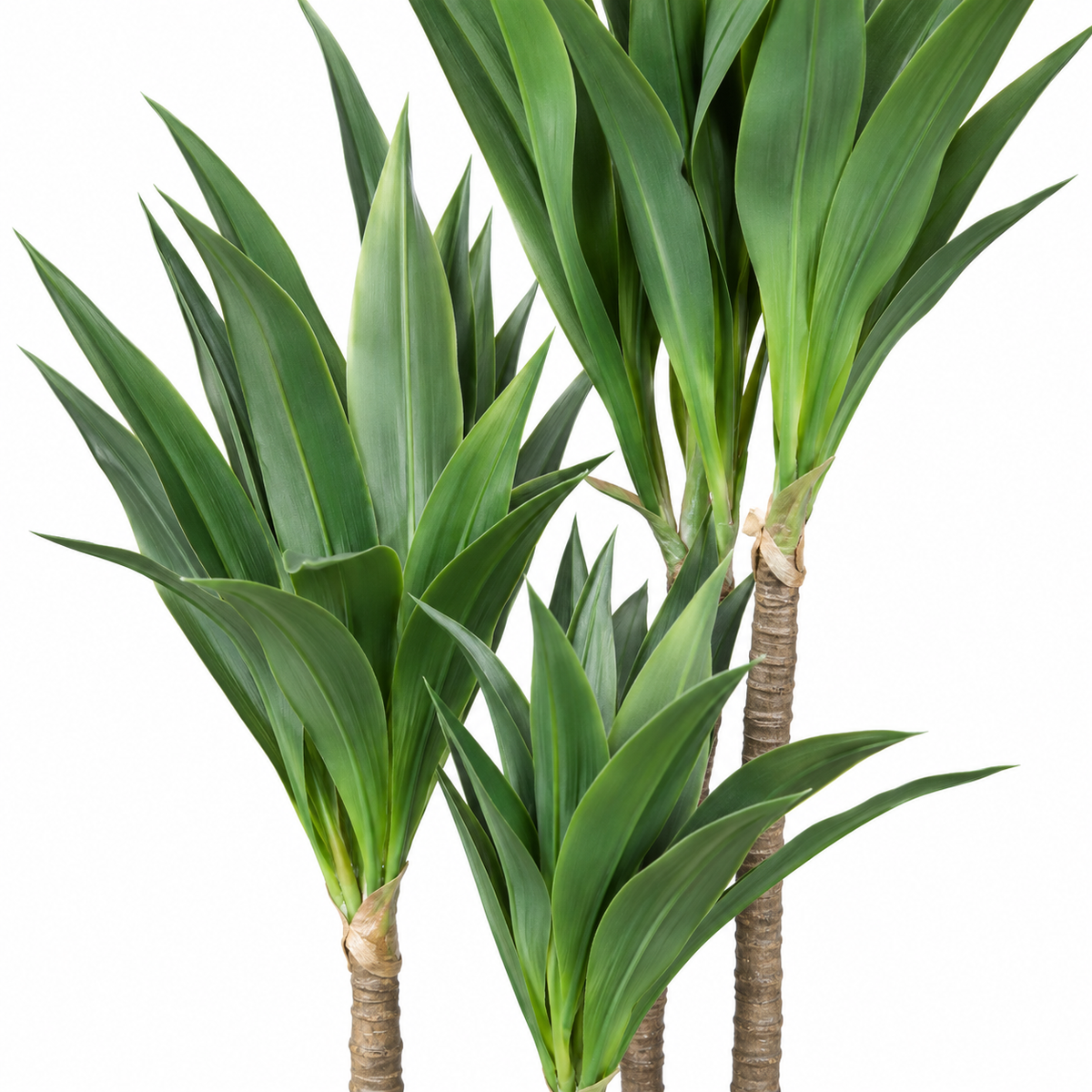 Artificial Triple-Stem Yucca Potted Tree - detail