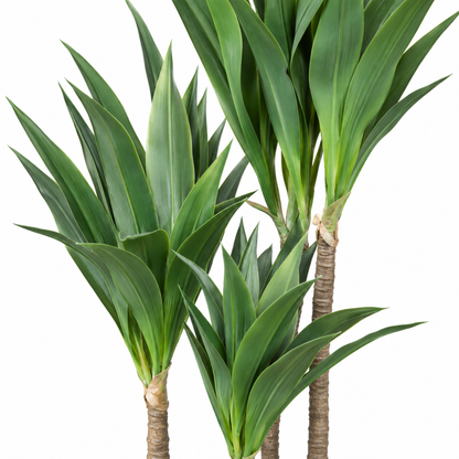 Artificial Triple-Stem Yucca Potted Tree - detail