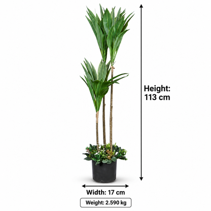 Artificial Triple-Stem Yucca Potted Tree - dimensions